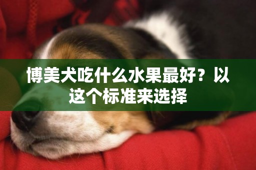 博美犬吃什么水果最好？以這個標準來選擇