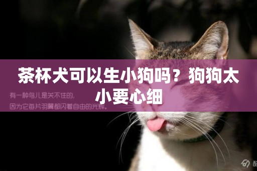 茶杯犬可以生小狗嗎？狗狗太小要心細