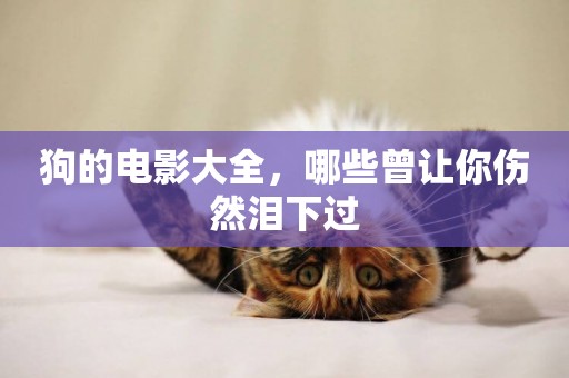 狗的電影大全，哪些曾讓你傷然淚下過