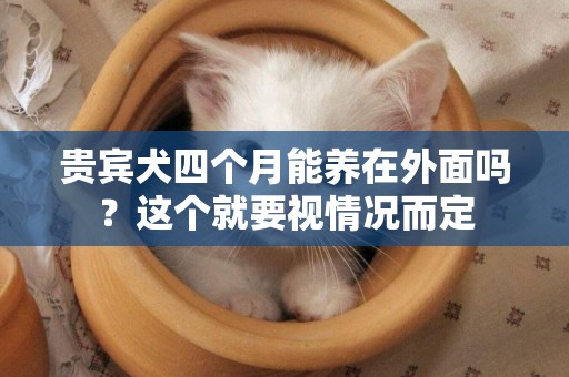 貴賓犬四個月能養在外面嗎？這個就要視情況而定