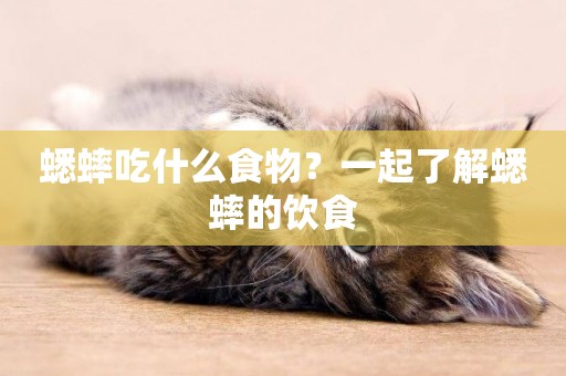 蟋蟀吃什么食物？一起了解蟋蟀的飲食