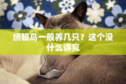 繡眼鳥一般養幾只？這個沒什么講究