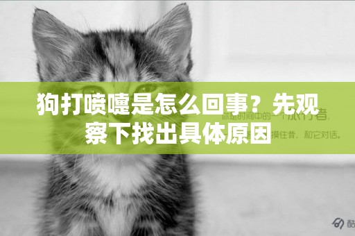 狗打噴嚏是怎么回事？先觀察下找出具體原因