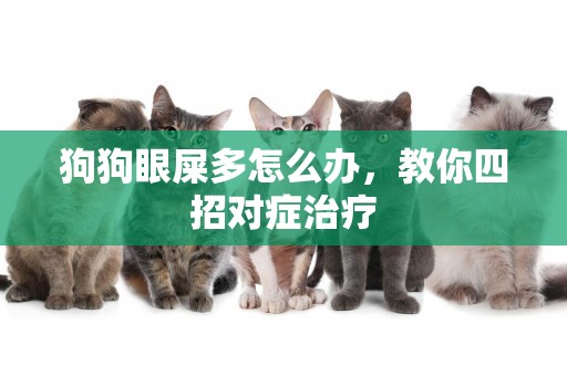 狗狗眼屎多怎么辦，教你四招對癥治療