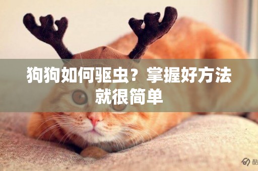狗狗如何驅蟲？掌握好方法就很簡單