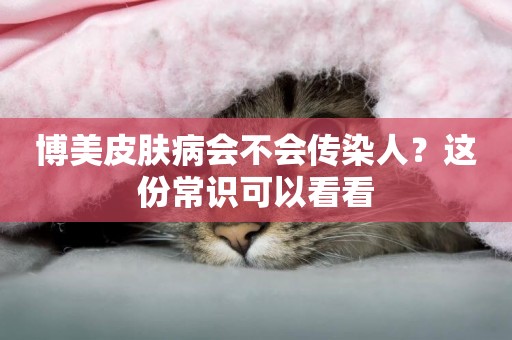 博美皮膚病會不會傳染人？這份常識可以看看