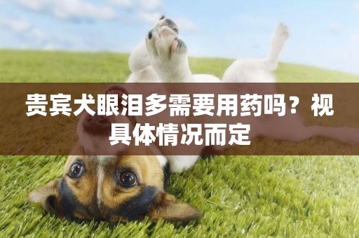 貴賓犬眼淚多需要用藥嗎？視具體情況而定
