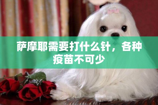 薩摩耶需要打什么針，各種疫苗不可少
