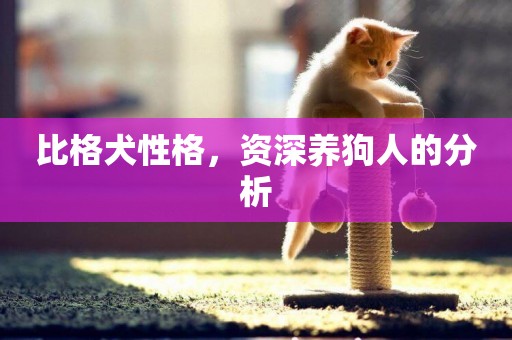 比格犬性格，資深養狗人的分析
