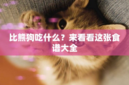 比熊狗吃什么？來看看這張食譜大全