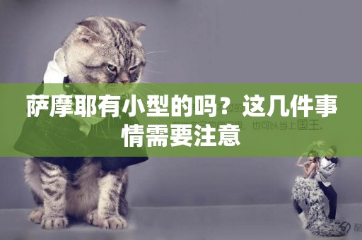 薩摩耶有小型的嗎？這幾件事情需要注意