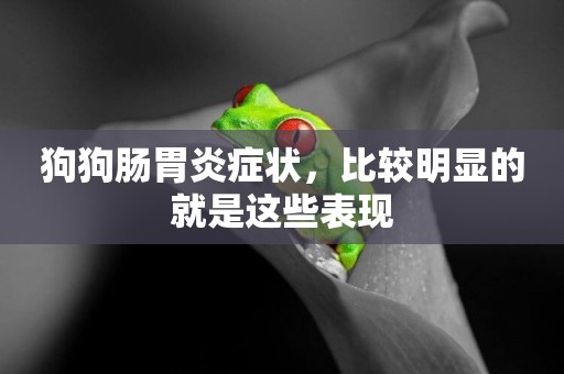 狗狗腸胃炎癥狀，比較明顯的就是這些表現