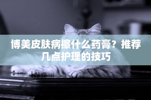 博美皮膚病擦什么藥膏？推薦幾點護理的技巧
