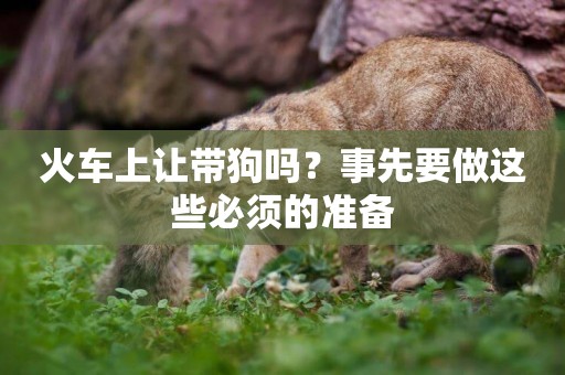 火車上讓帶狗嗎？事先要做這些必須的準備