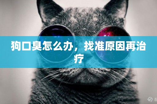 狗口臭怎么辦，找準原因再治療