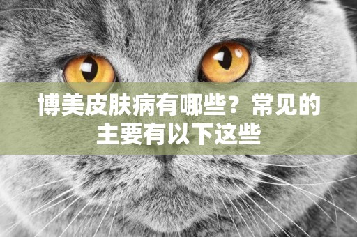 博美皮膚病有哪些？常見的主要有以下這些