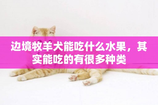邊境牧羊犬能吃什么水果，其實能吃的有很多種類