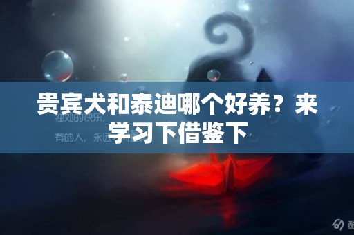 貴賓犬和泰迪哪個好養？來學習下借鑒下