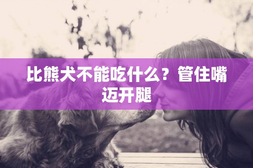 比熊犬不能吃什么？管住嘴邁開腿