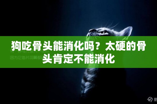 狗吃骨頭能消化嗎？太硬的骨頭肯定不能消化