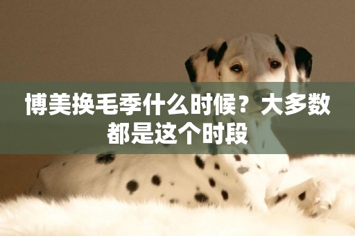 博美換毛季什么時候？大多數都是這個時段