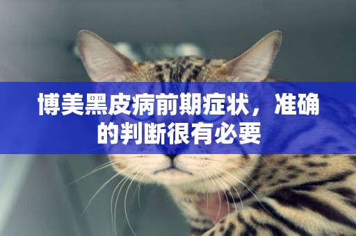 博美黑皮病前期癥狀，準確的判斷很有必要