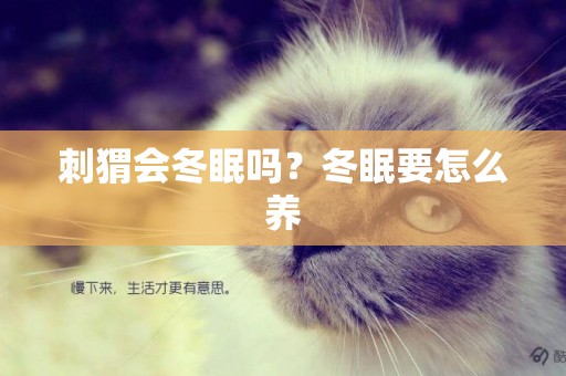 刺猬會冬眠嗎？冬眠要怎么養