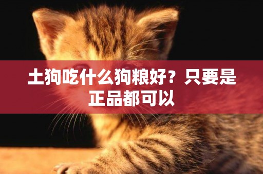 土狗吃什么狗糧好？只要是正品都可以