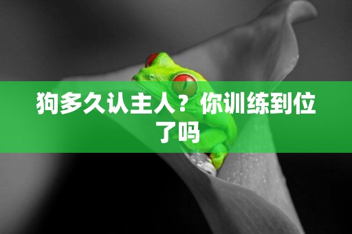 狗多久認主人？你訓練到位了嗎