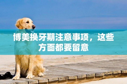 博美換牙期注意事項，這些方面都要留意
