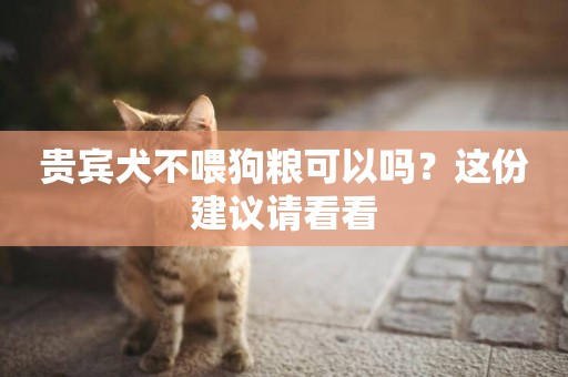 貴賓犬不喂狗糧可以嗎？這份建議請看看