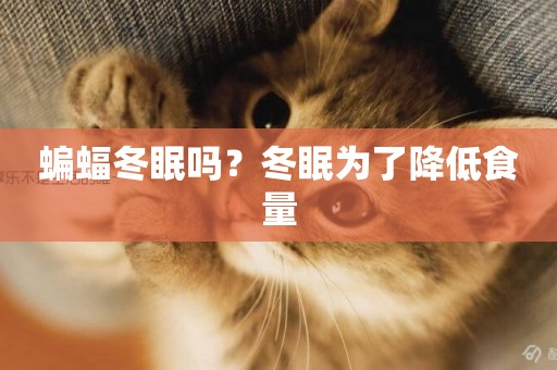 蝙蝠冬眠嗎？冬眠為了降低食量