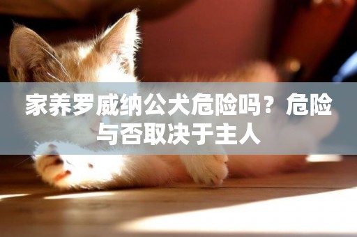 家養羅威納公犬危險嗎？危險與否取決于主人