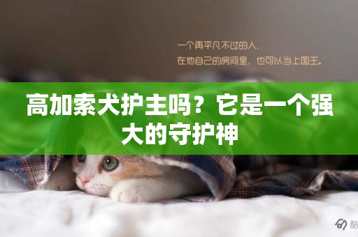 高加索犬護主嗎？它是一個強大的守護神