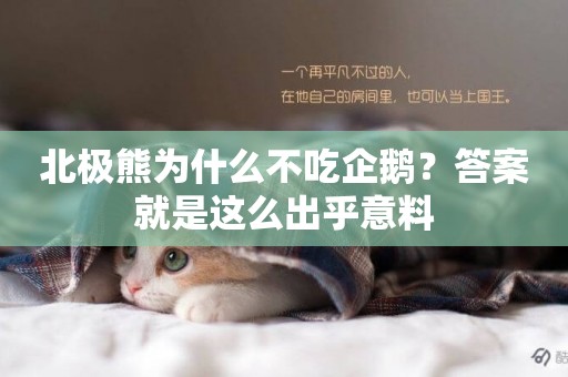 北極熊為什么不吃企鵝？答案就是這么出乎意料
