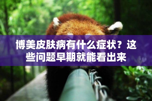 博美皮膚病有什么癥狀？這些問題早期就能看出來