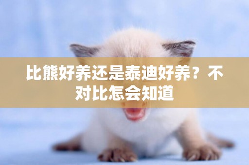 比熊好養還是泰迪好養？不對比怎會知道