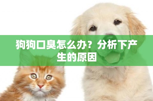 狗狗口臭怎么辦？分析下產生的原因