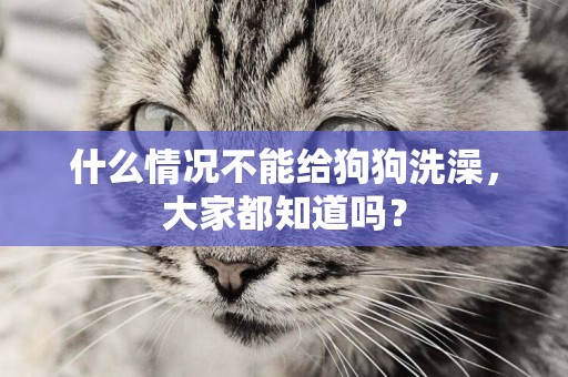 什么情況不能給狗狗洗澡，大家都知道嗎？