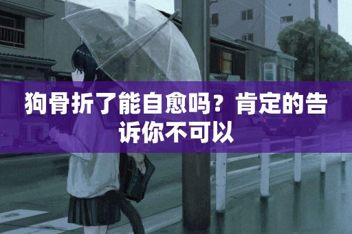 狗骨折了能自愈嗎？肯定的告訴你不可以