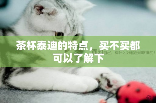 茶杯泰迪的特點，買不買都可以了解下