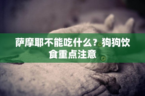 薩摩耶不能吃什么？狗狗飲食重點注意