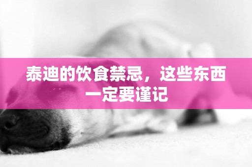 泰迪的飲食禁忌，這些東西一定要謹記