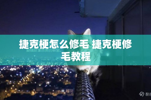 捷克梗怎么修毛 捷克梗修毛教程