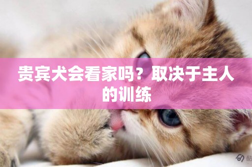貴賓犬會看家嗎？取決于主人的訓練