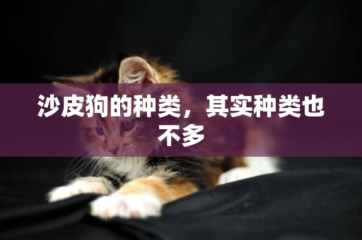 沙皮狗的種類，其實種類也不多