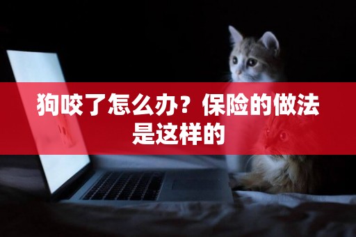 狗咬了怎么辦？保險的做法是這樣的