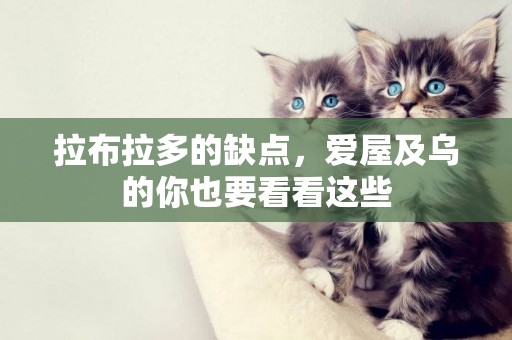 拉布拉多的缺點，愛屋及烏的你也要看看這些