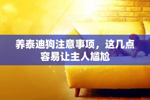 養泰迪狗注意事項，這幾點容易讓主人尷尬