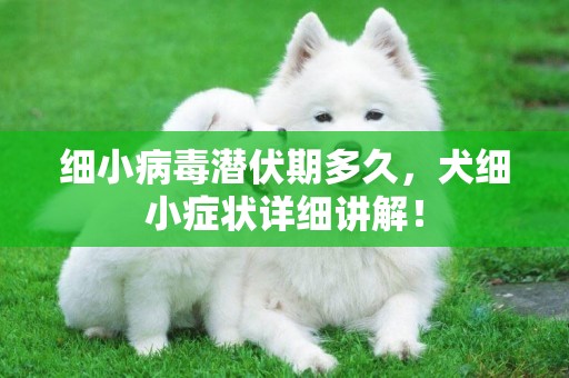 細小病毒潛伏期多久，犬細小癥狀詳細講解！
